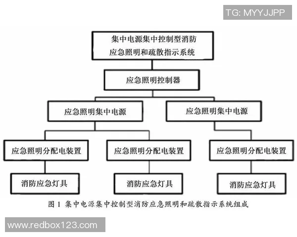 成都排球队的排球战术与运营体系探讨及其对竞技水平的提升分析