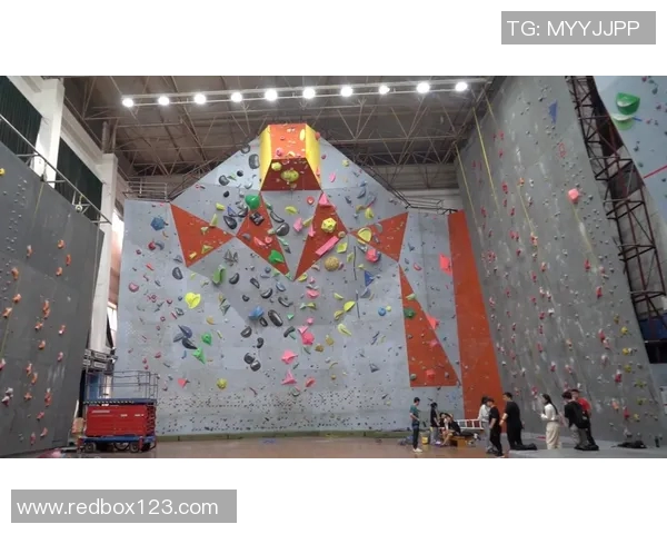 武汉攀岩队战术之争引发热议攀岩爱好者的不同声音与观点分析